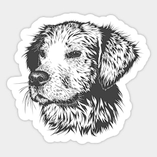 Labrador Sketch Sticker